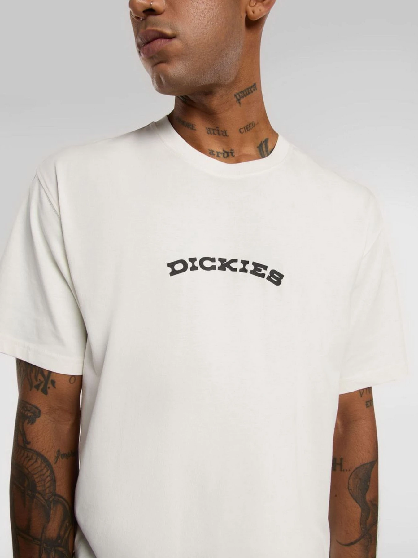 Футболки і поло Dickies Outdoor модель DK0A4Z8PC481 Фото