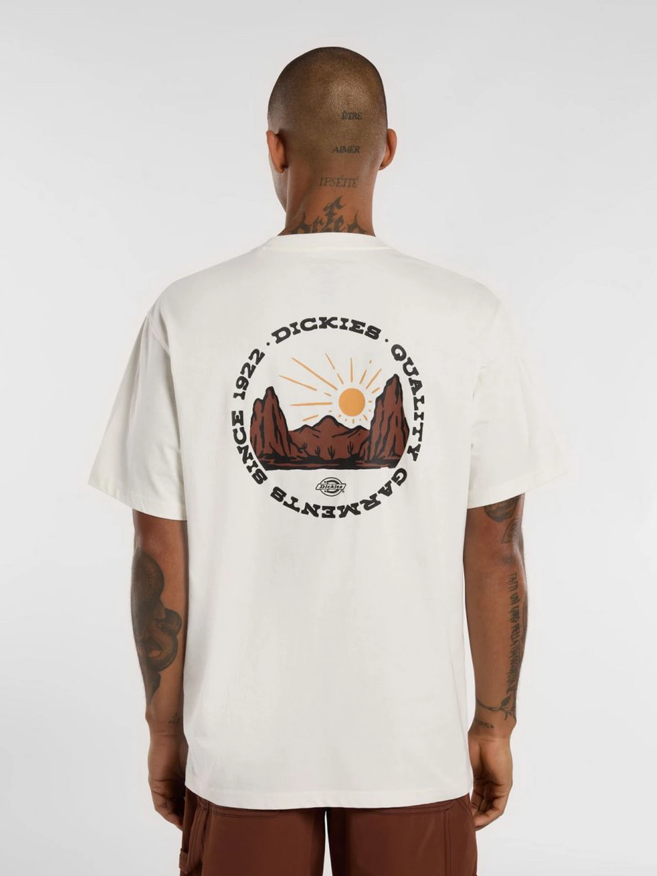 Футболки і поло Dickies Outdoor модель DK0A4Z8PC481 Фото