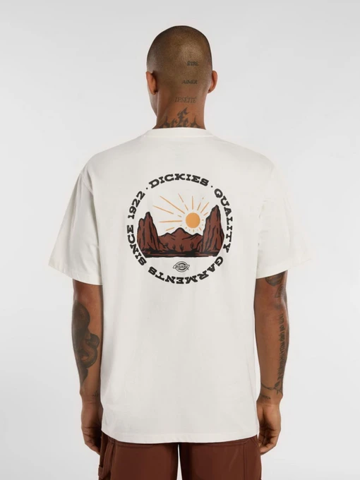 Футболки і поло Dickies Outdoor модель DK0A4Z8PC481 Фото