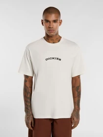 Футболки і поло Dickies Outdoor модель DK0A4Z8PC481 Фото