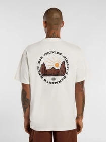 Футболки і поло Dickies Outdoor модель DK0A4Z8PC481 Фото