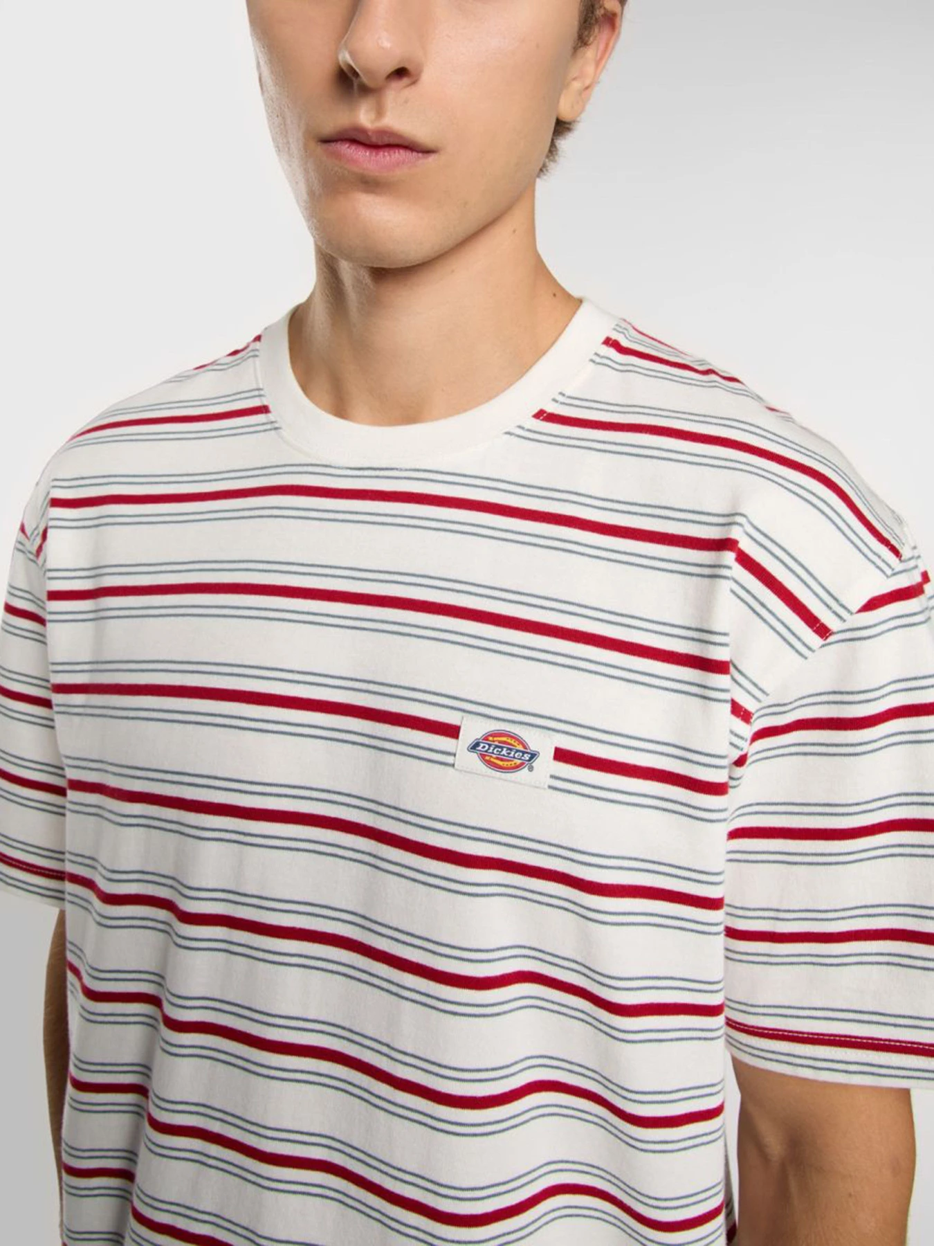 Футболки и поло Dickies Lewistown модель DK0A4Z8SC481 Футболки и поло Dickies Lewistown модель DK0A4Z8SC481 Фото