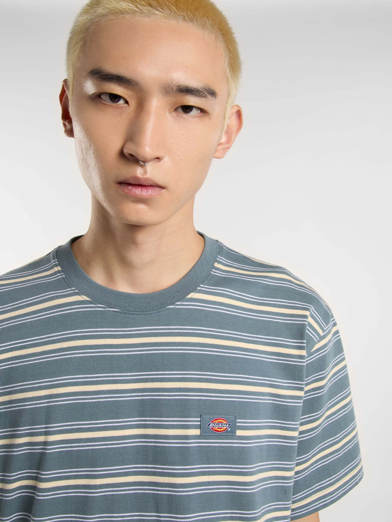Футболки і поло Dickies Lewistown Stripe модель DK0A4Z8SG701 Футболки і поло Dickies Lewistown Stripe модель DK0A4Z8SG701 Фото
