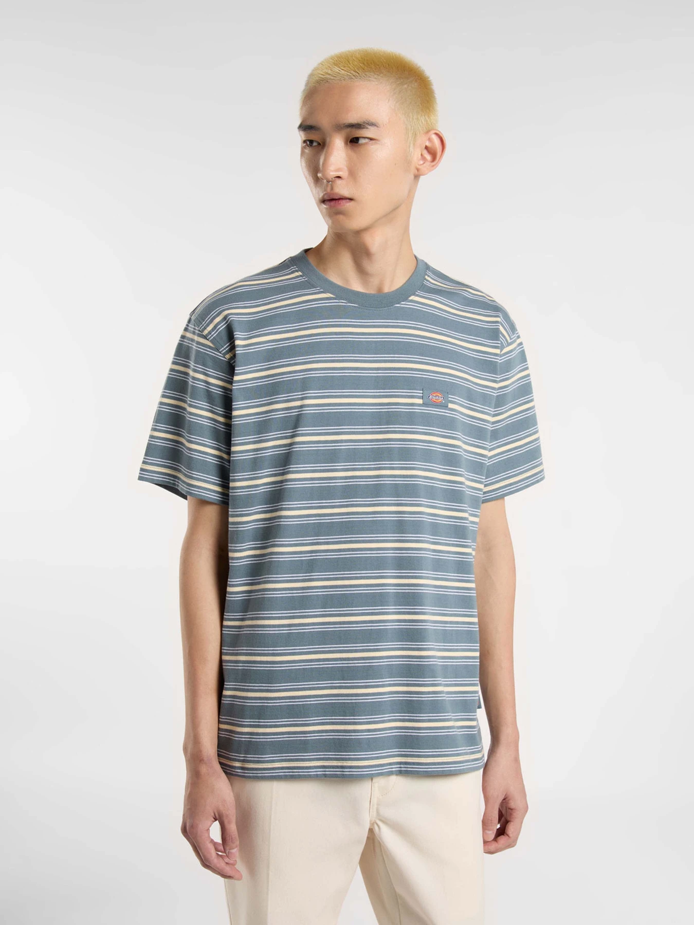 Футболки і поло Dickies Lewistown Stripe модель DK0A4Z8SG701 Футболки і поло Dickies Lewistown Stripe модель DK0A4Z8SG701 Фото