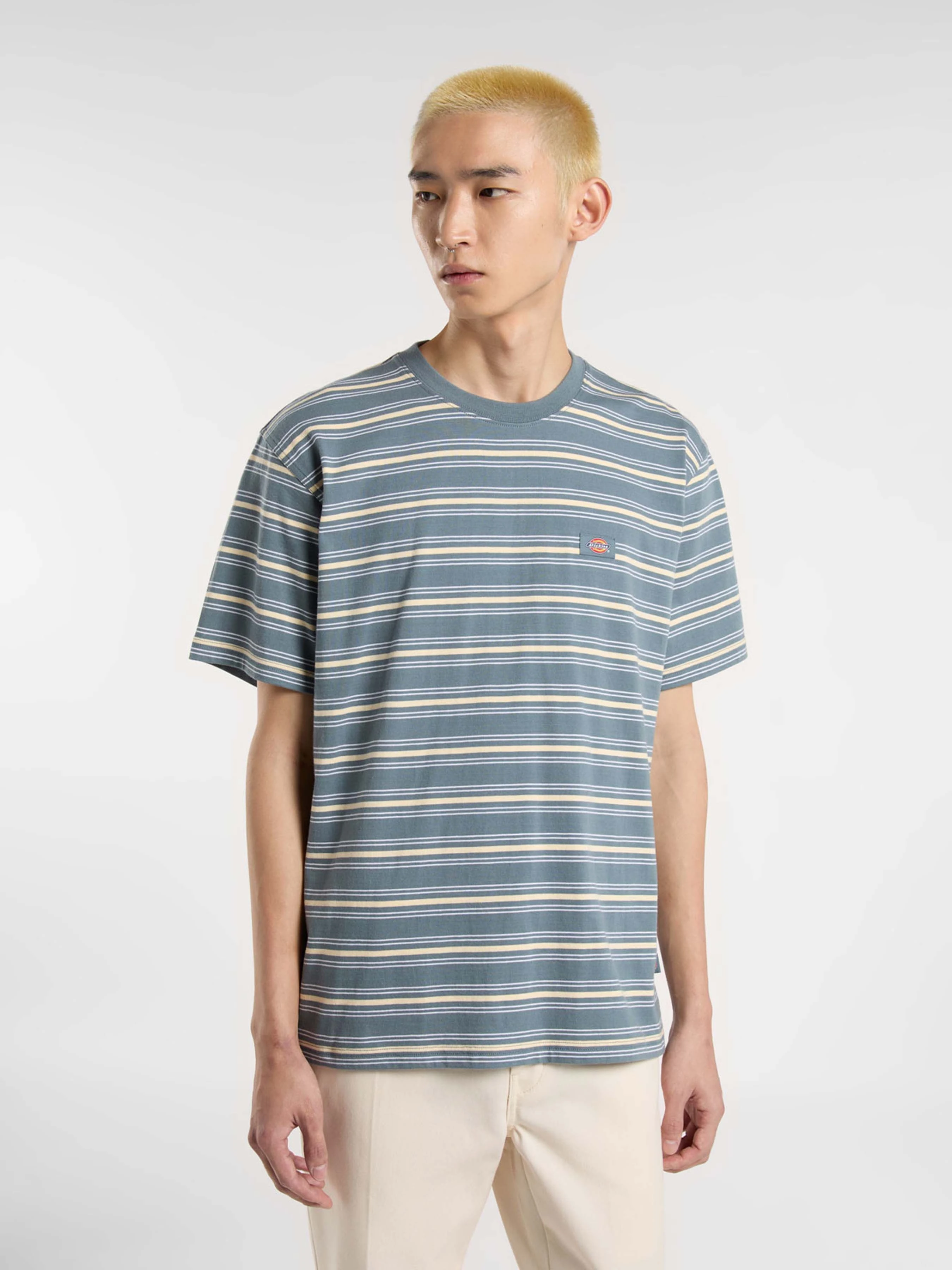 Бавовняна Чоловіча Футболка Dickies Lewistown Stripe