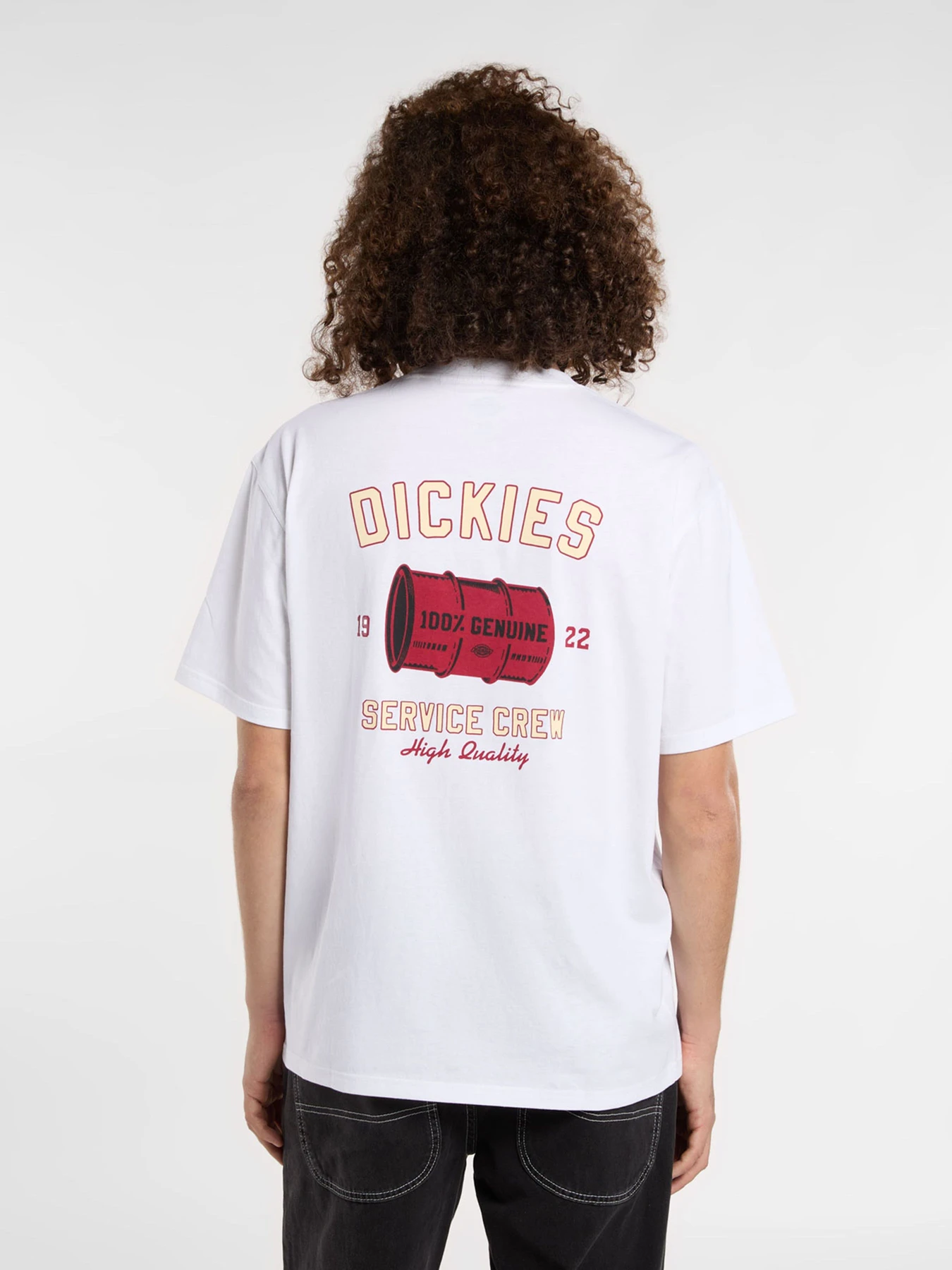 Футболки і поло Dickies Service Crew модель DK0A4Z8T0WH1 Футболки і поло Dickies Service Crew модель DK0A4Z8T0WH1 Фото