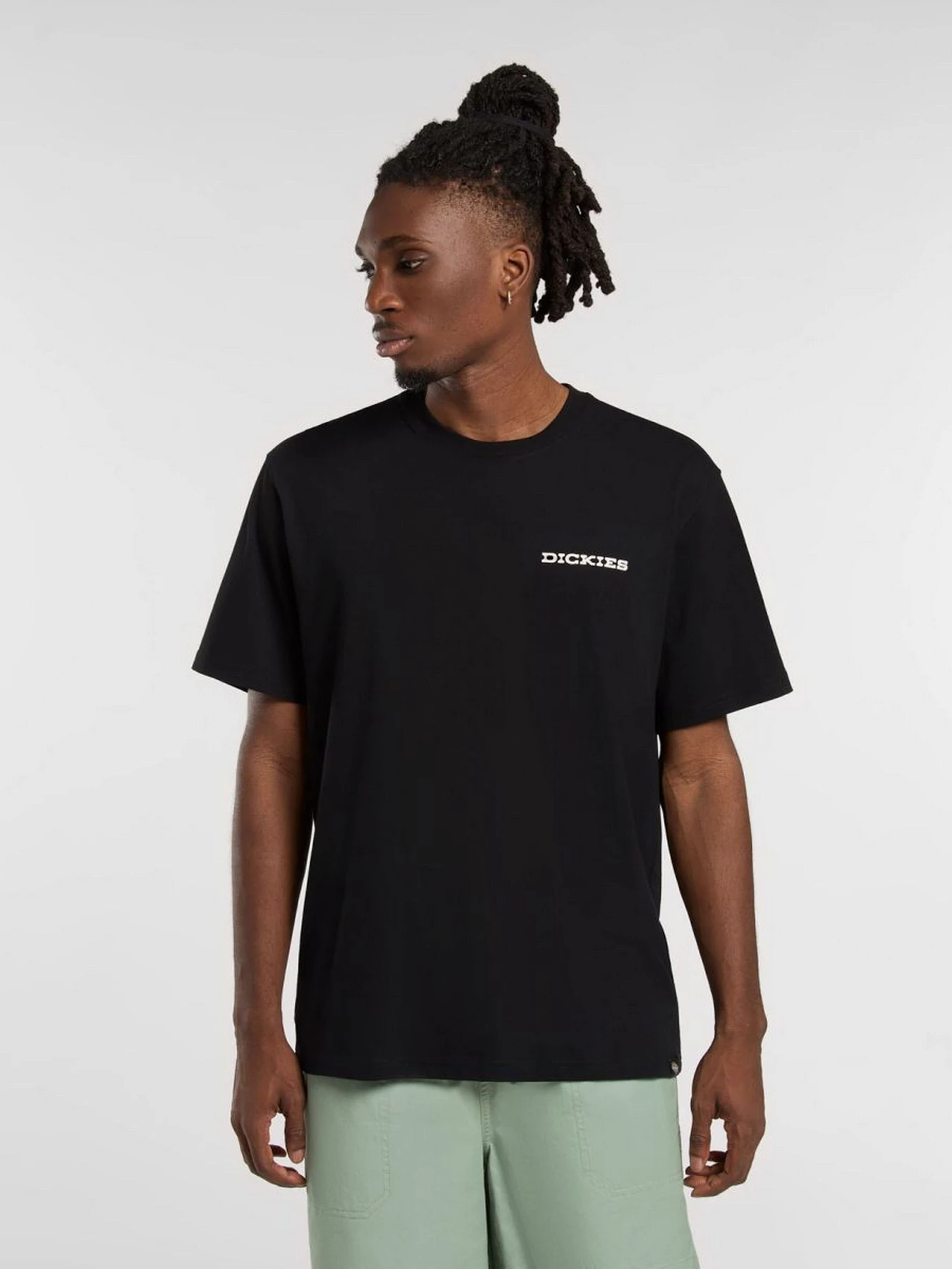 Футболки и поло Dickies Landscape модель DK0A4Z8VBLK1 Футболки и поло Dickies Landscape модель DK0A4Z8VBLK1 Фото