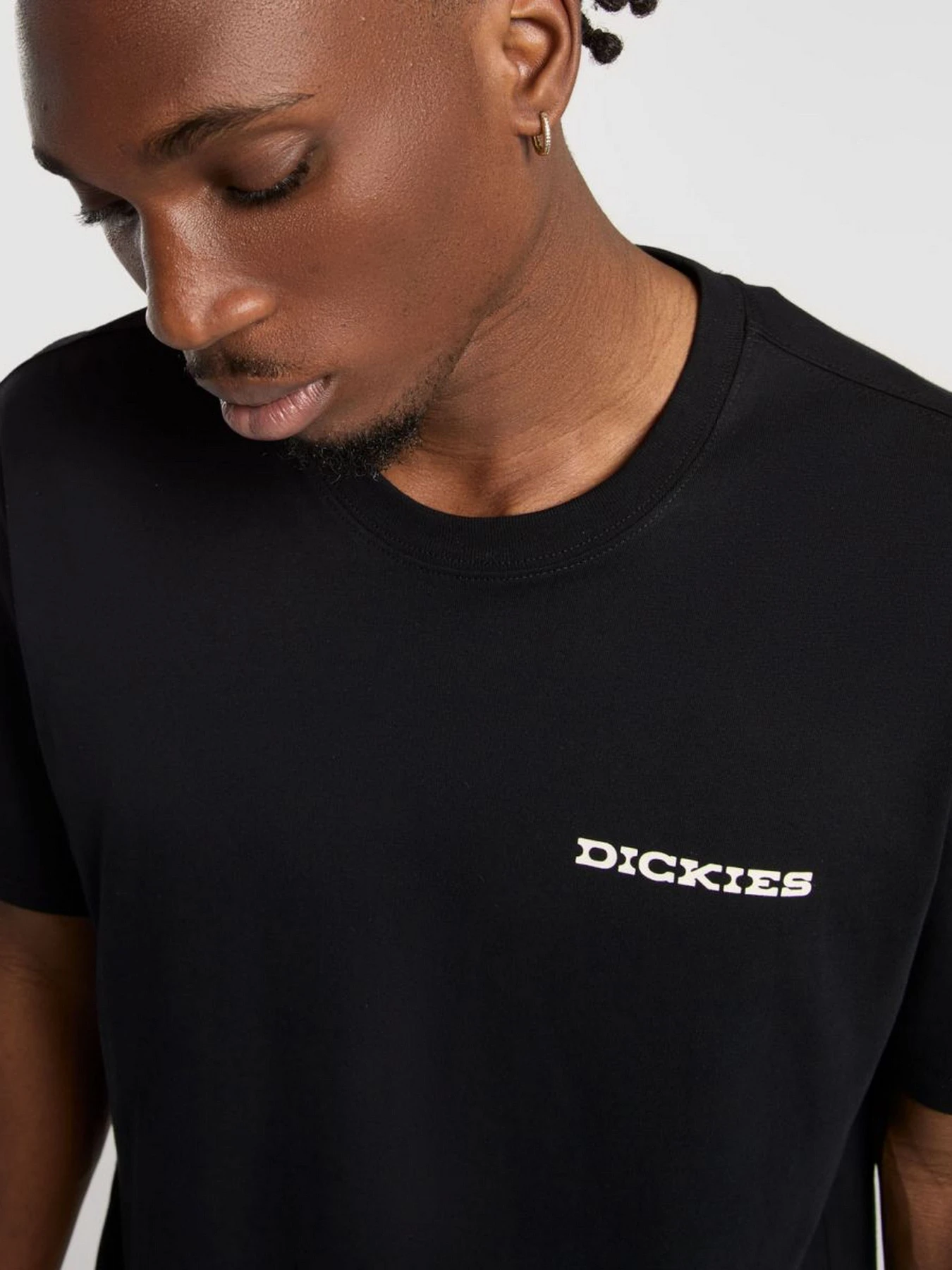 Футболки и поло Dickies Landscape модель DK0A4Z8VBLK1 Футболки и поло Dickies Landscape модель DK0A4Z8VBLK1 Фото