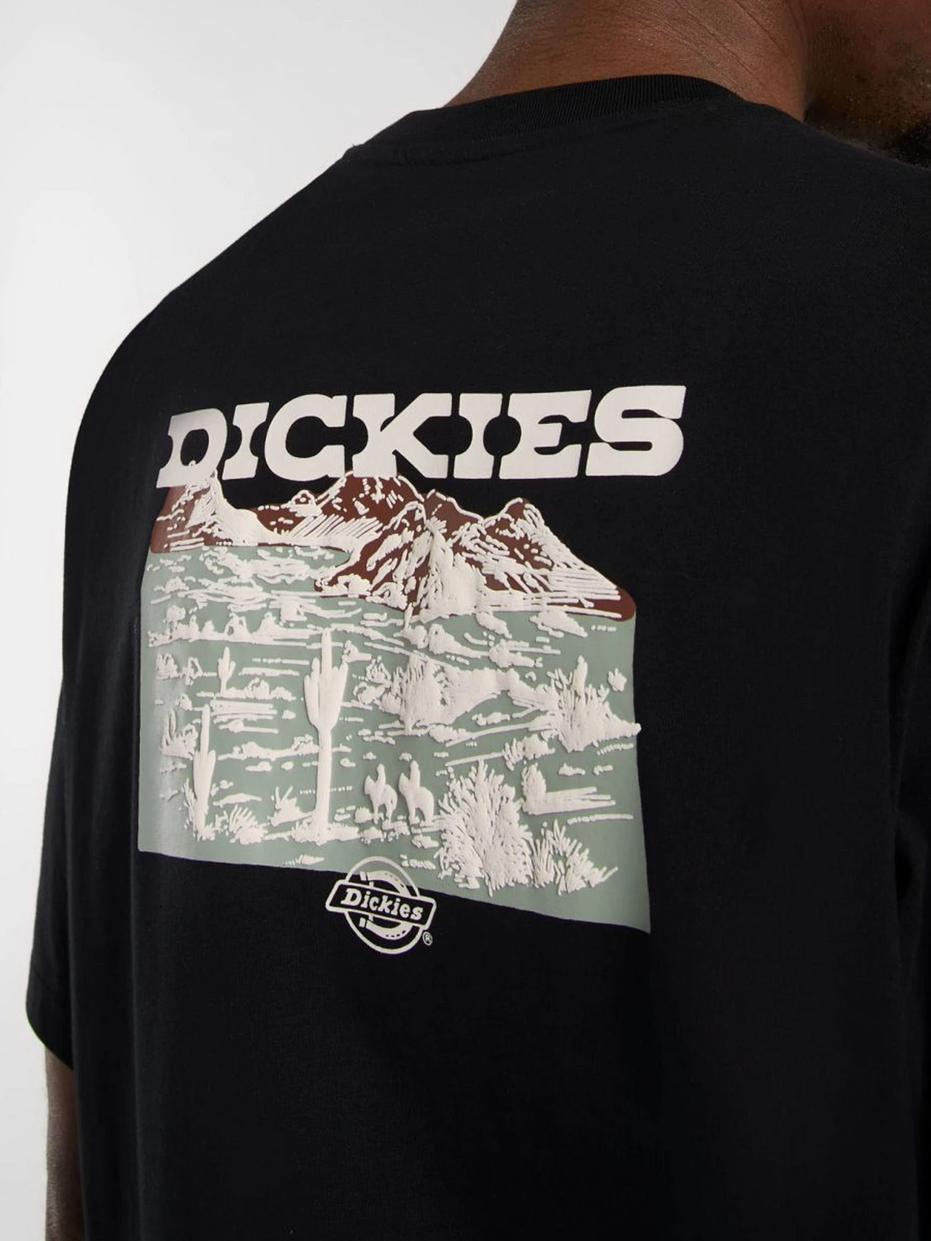 Футболки и поло Dickies Landscape модель DK0A4Z8VBLK1 Футболки и поло Dickies Landscape модель DK0A4Z8VBLK1 Фото