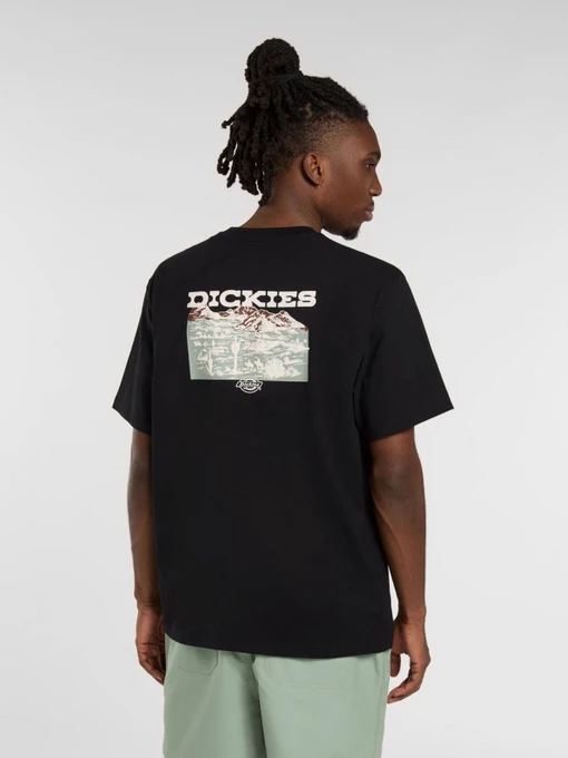 Футболки і поло Dickies Landscape модель DK0A4Z8VBLK1 Фото