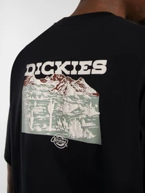 Футболки и поло Dickies Landscape модель DK0A4Z8VBLK1 Фото