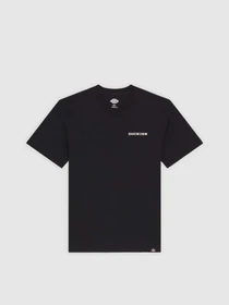 Футболки и поло Dickies Landscape модель DK0A4Z8VBLK1 Фото