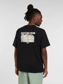Футболки и поло Dickies Landscape модель DK0A4Z8VBLK1 Фото