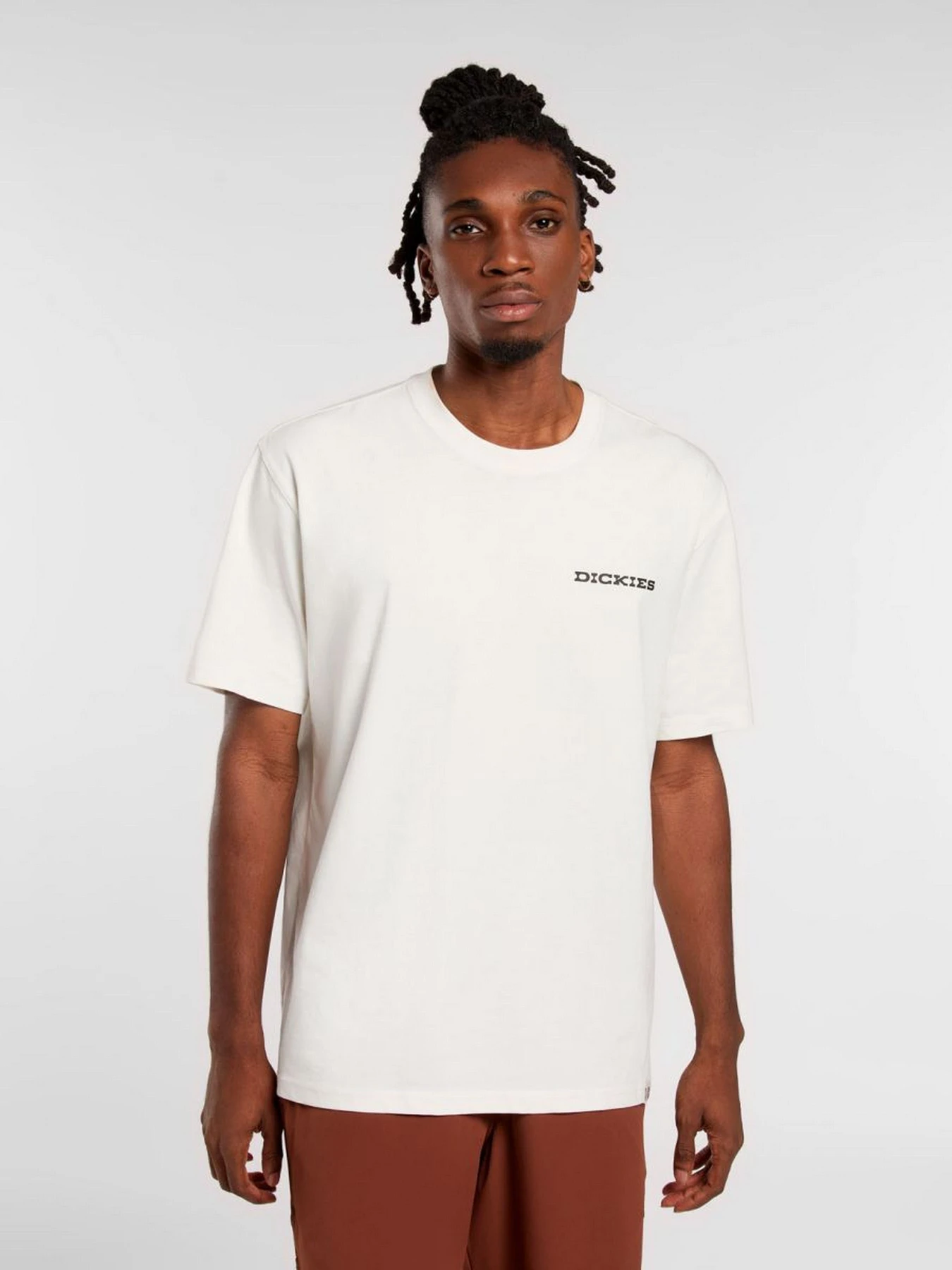 Футболки і поло Dickies Landscape модель DK0A4Z8VC481 Футболки і поло Dickies Landscape модель DK0A4Z8VC481 Фото