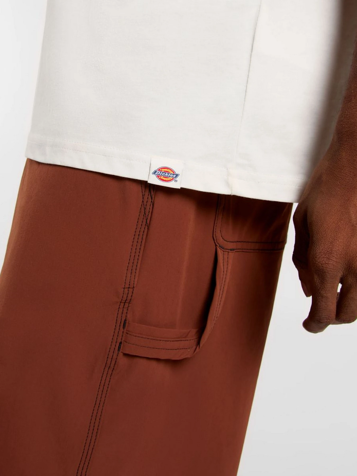 Футболки і поло Dickies Landscape модель DK0A4Z8VC481 Футболки і поло Dickies Landscape модель DK0A4Z8VC481 Фото