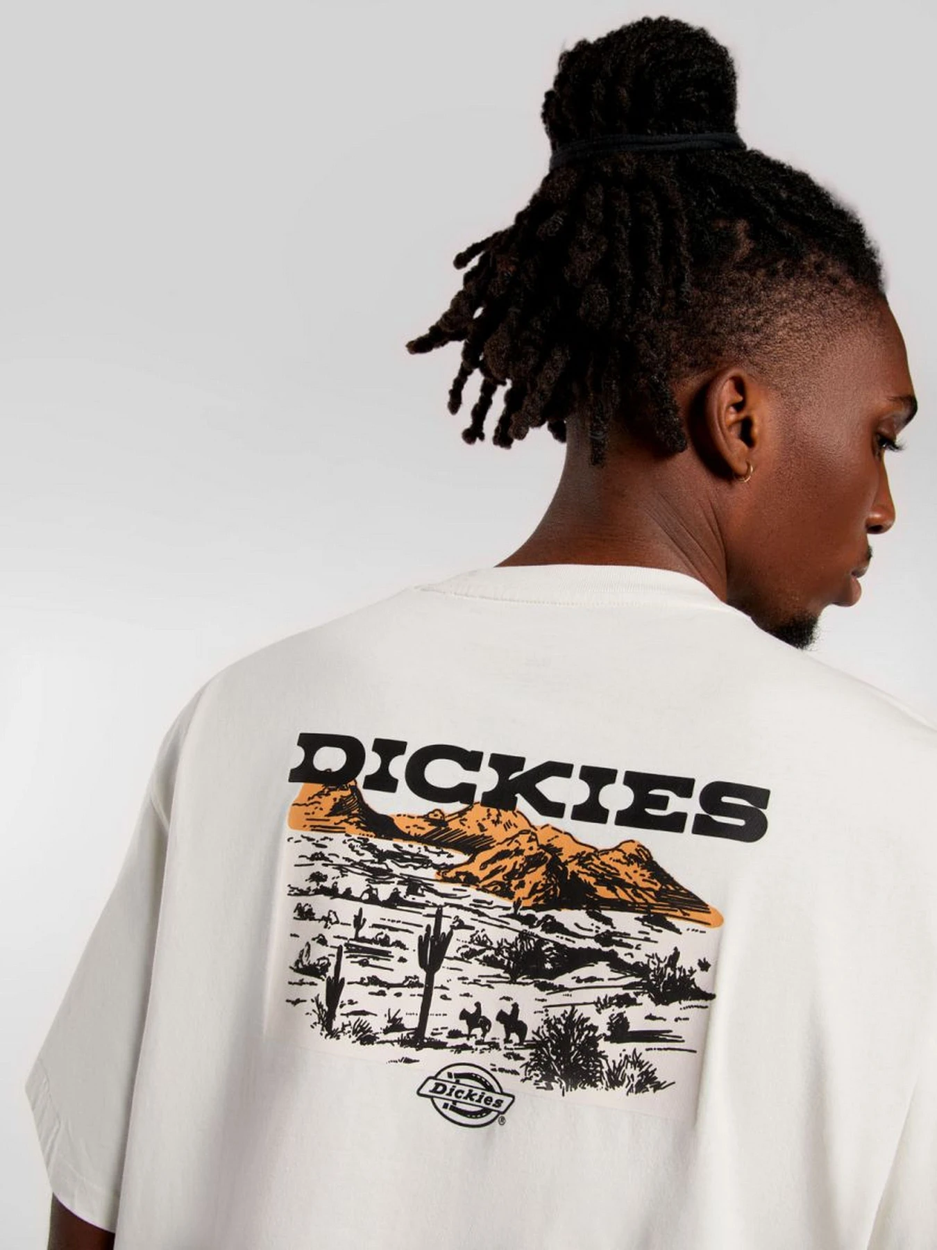 Футболки і поло Dickies Landscape модель DK0A4Z8VC481 Футболки і поло Dickies Landscape модель DK0A4Z8VC481 Фото