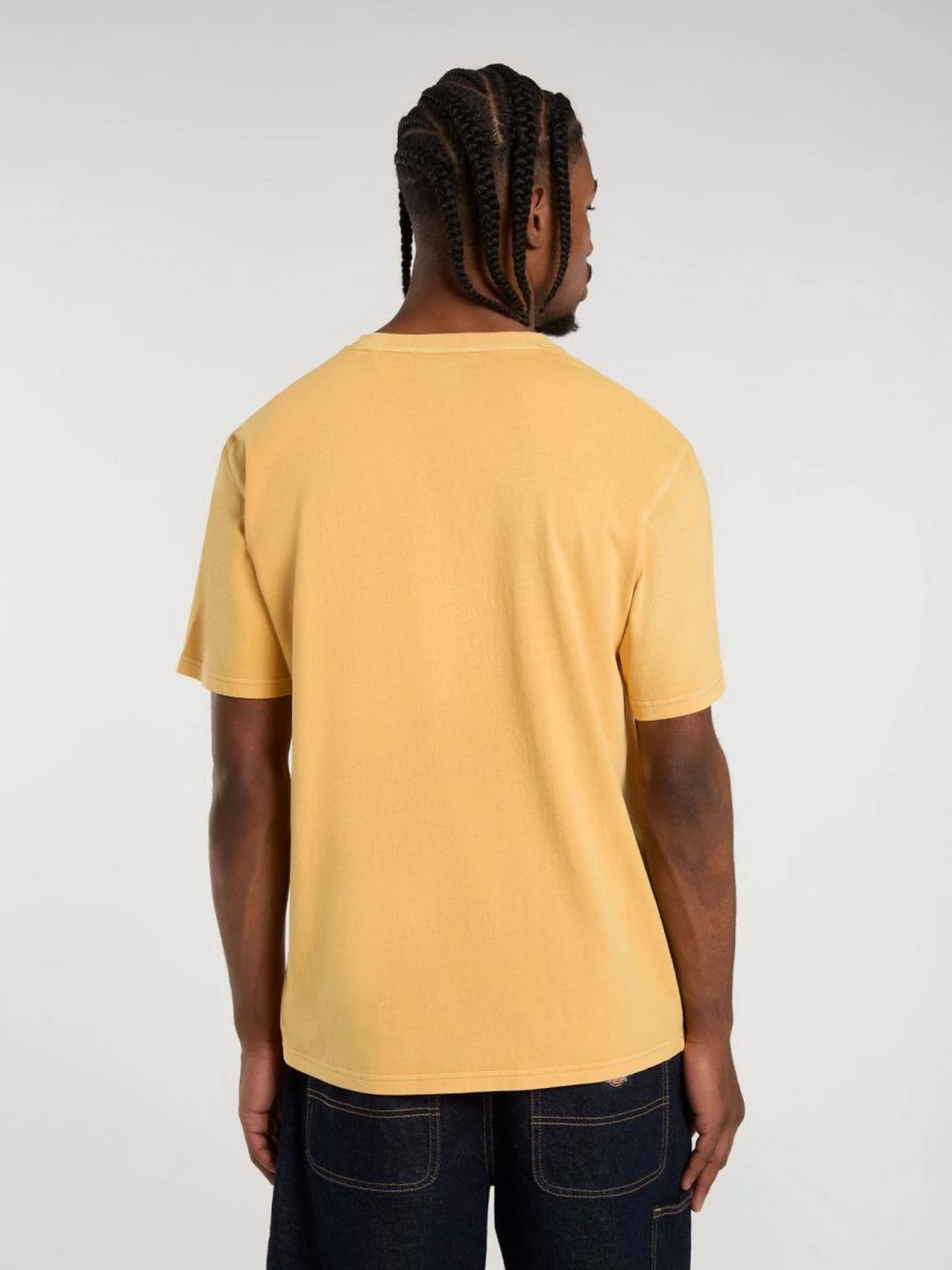 Футболки і поло Dickies Rope Chest модель DK0A4Z8WK411 Футболки і поло Dickies Rope Chest модель DK0A4Z8WK411 Фото