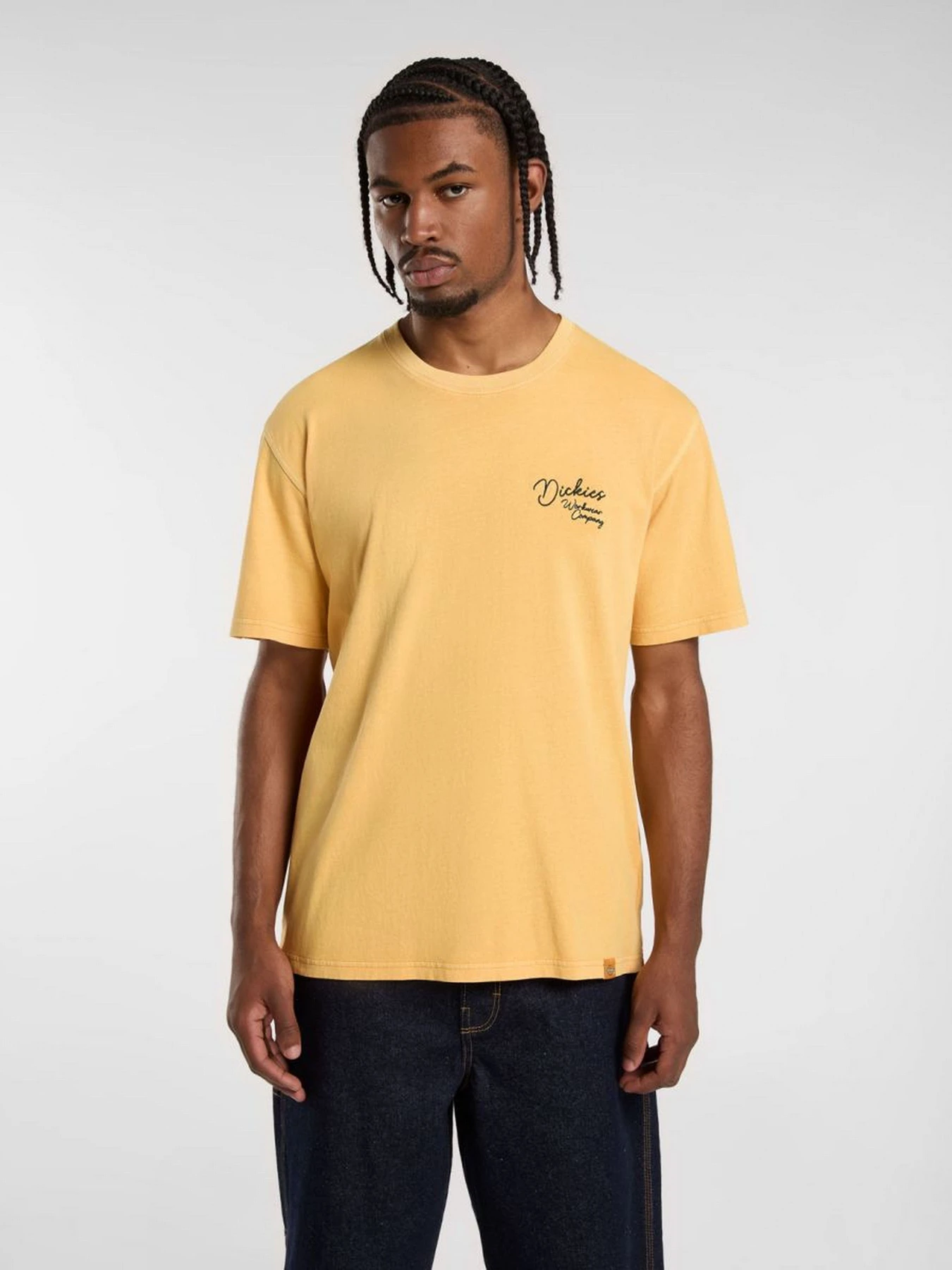 Футболки і поло Dickies Rope Chest модель DK0A4Z8WK411 Футболки і поло Dickies Rope Chest модель DK0A4Z8WK411 Фото