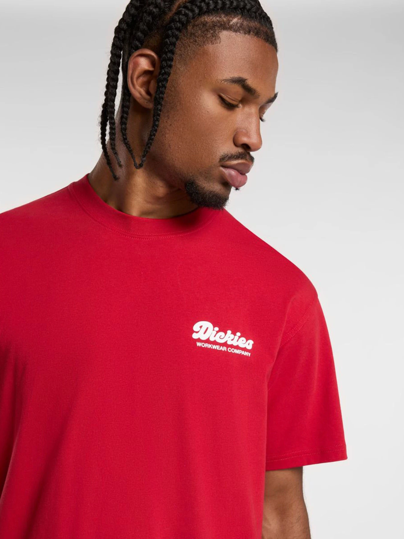 Футболки и поло Dickies Lewistown модель DK0A4Z8Z0ER1 Фото