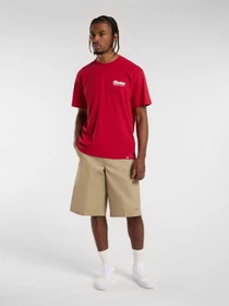 Футболки и поло Dickies Lewistown модель DK0A4Z8Z0ER1 Фото