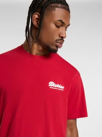 Футболки и поло Dickies Lewistown модель DK0A4Z8Z0ER1 Фото