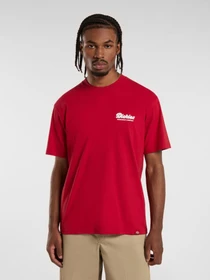 Футболки и поло Dickies Lewistown модель DK0A4Z8Z0ER1 Фото