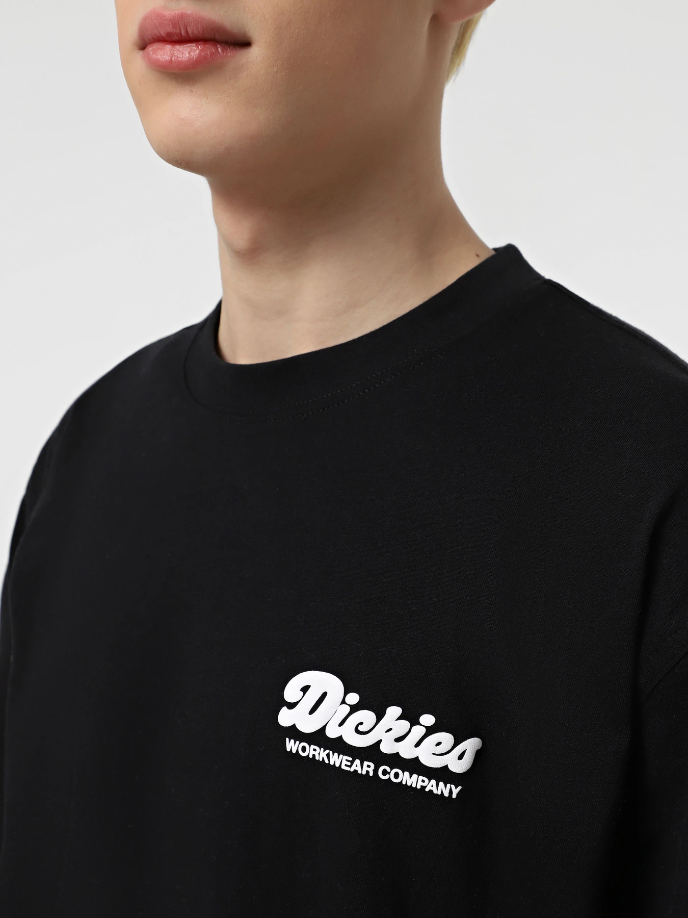 Футболки и поло Dickies Lewistown модель DK0A4Z8ZBLK1 Фото