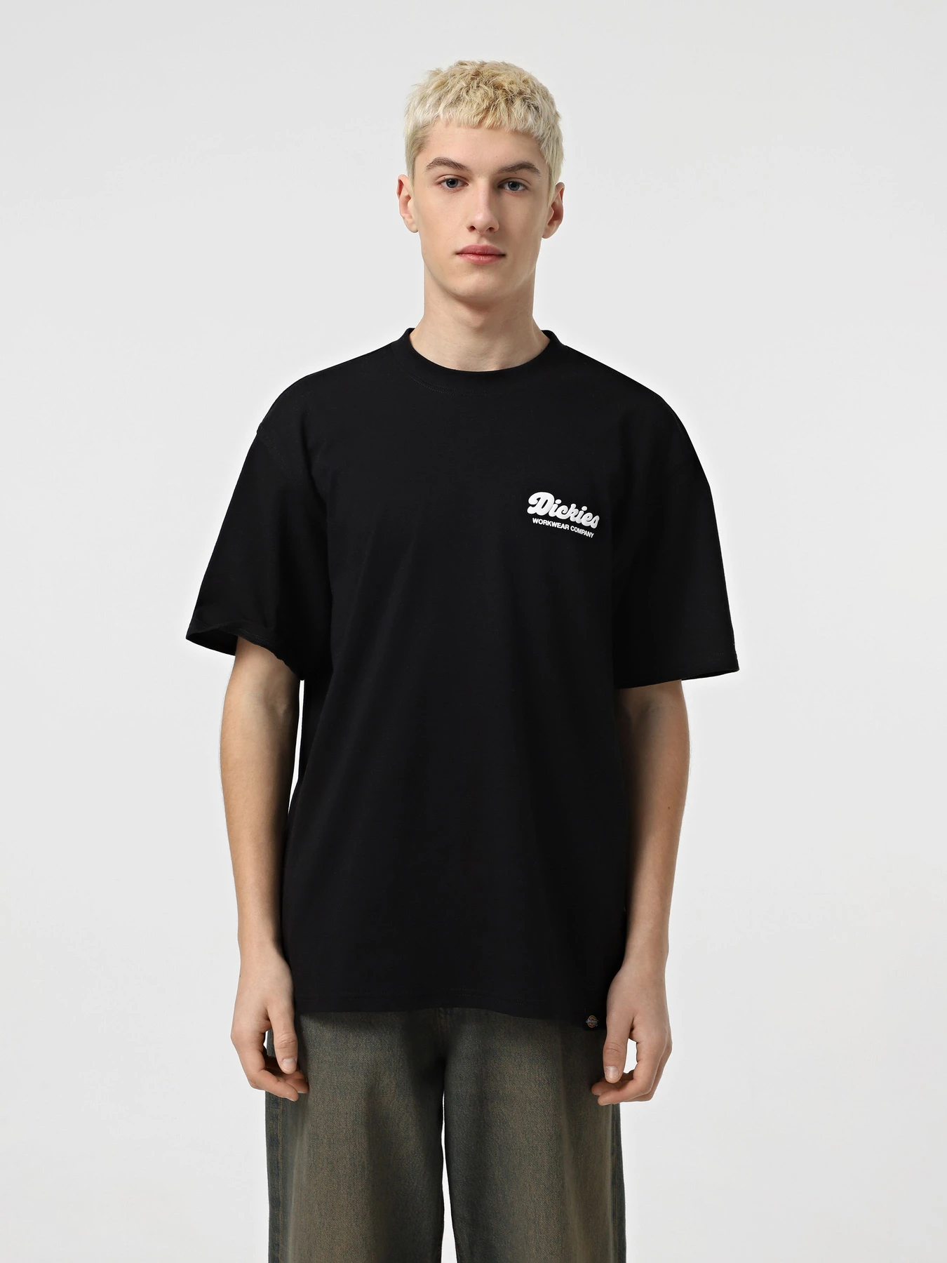 Футболки и поло Dickies Lewistown модель DK0A4Z8ZBLK1 Фото