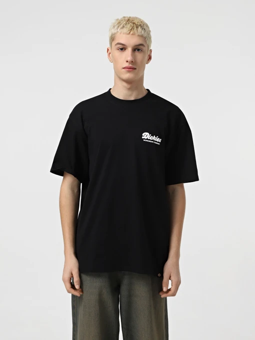 Футболки і поло Dickies Lewistown модель DK0A4Z8ZBLK1 Фото