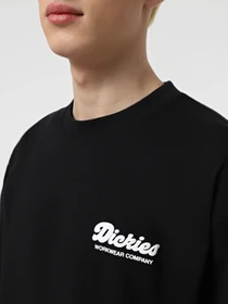 Футболки и поло Dickies Lewistown модель DK0A4Z8ZBLK1 Фото