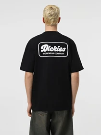 Футболки и поло Dickies Lewistown модель DK0A4Z8ZBLK1 Фото