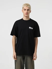 Футболки и поло Dickies Lewistown модель DK0A4Z8ZBLK1 Фото