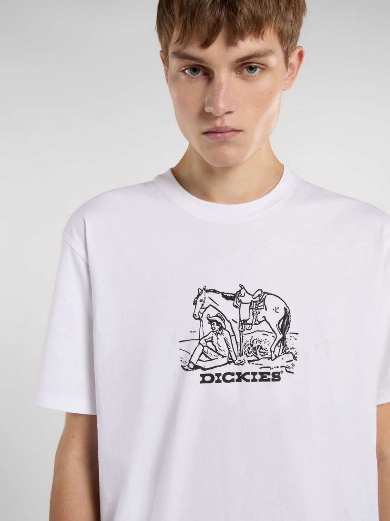Футболки і поло Dickies Companion Center Logo модель DK0A4Z910WH1 Футболки і поло Dickies Companion Center Logo модель DK0A4Z910WH1 Фото
