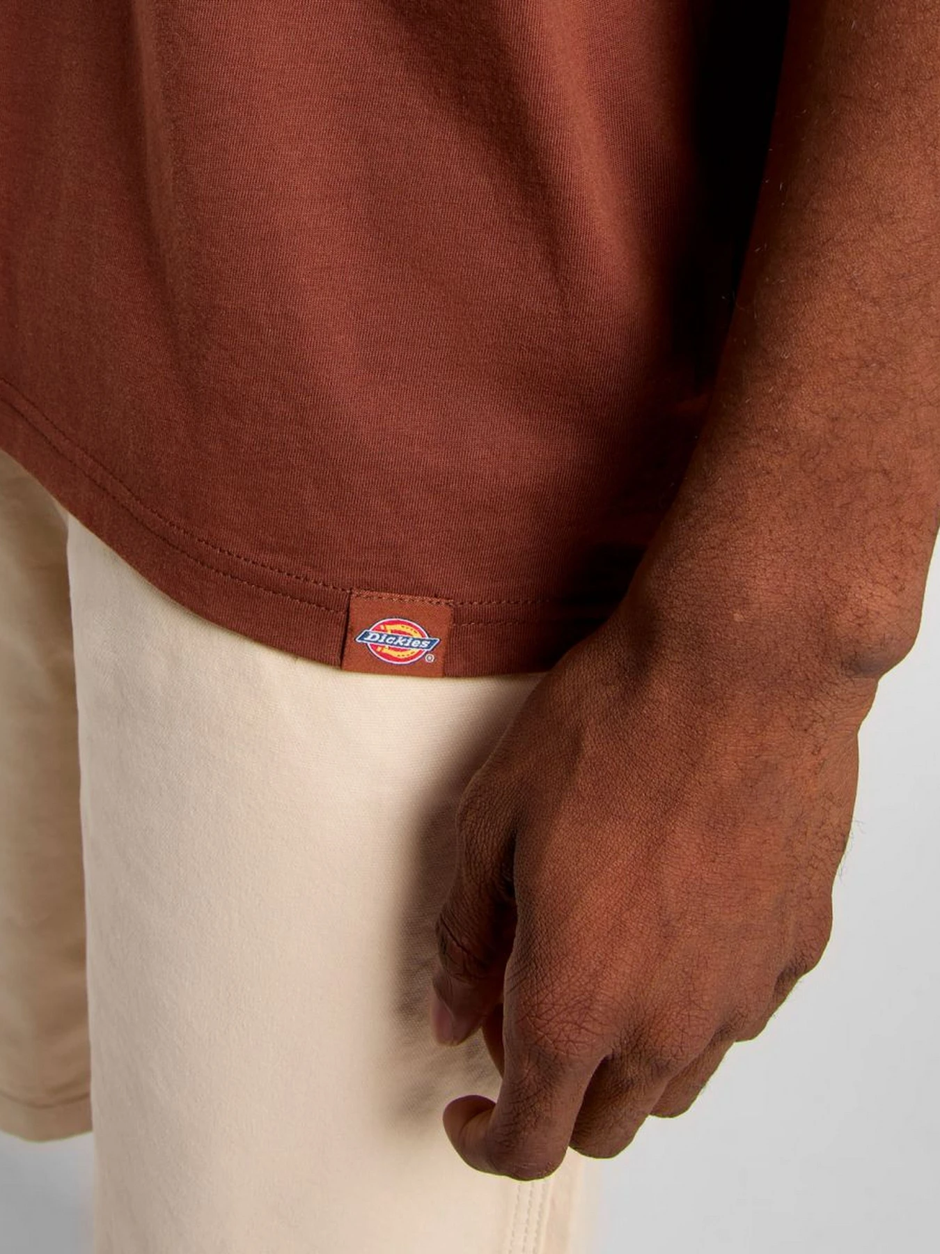 Футболки и поло Dickies Companion Center Logo модель DK0A4Z91K471 Футболки и поло Dickies Companion Center Logo модель DK0A4Z91K471 Фото