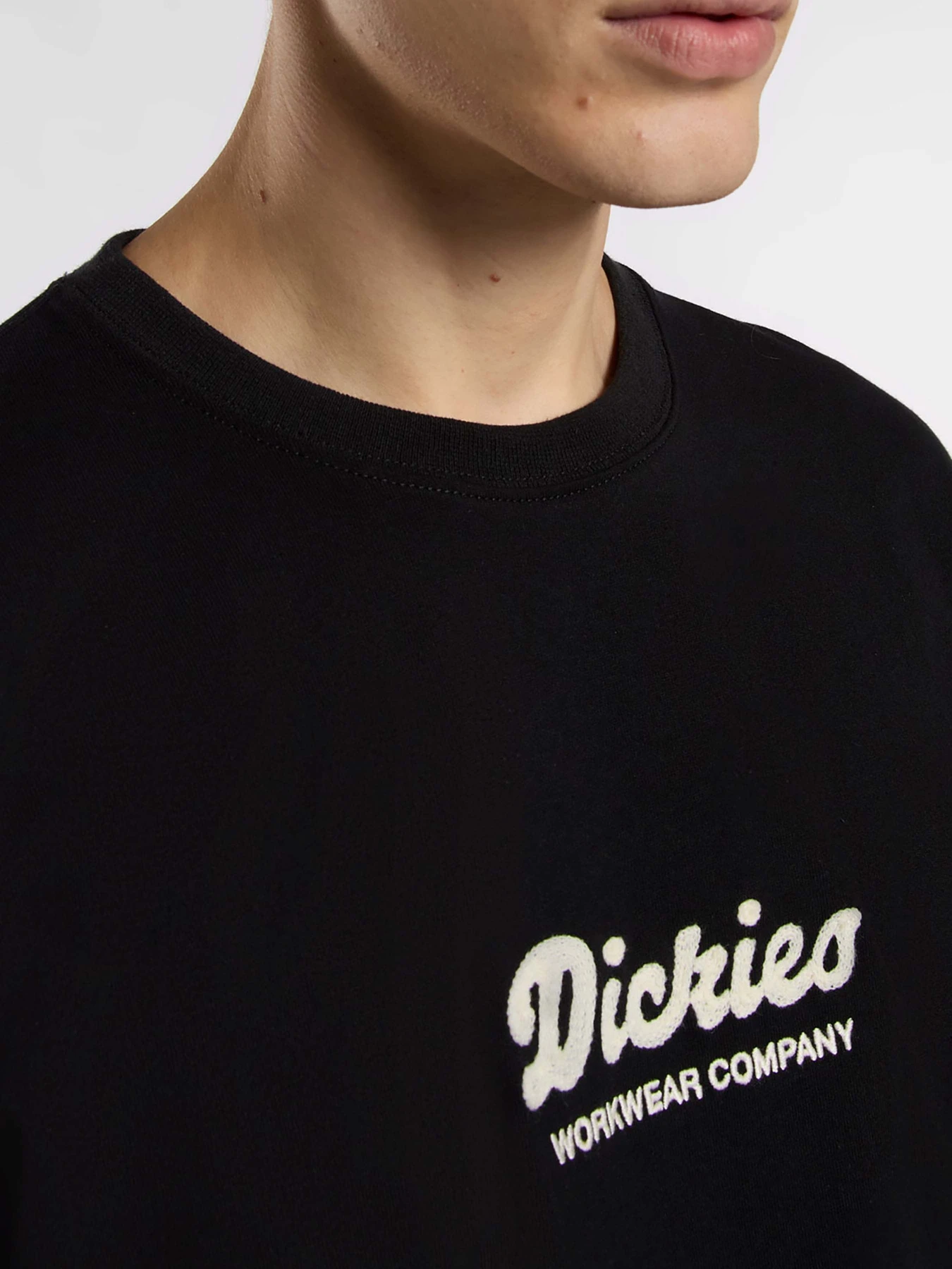 Футболки і поло Dickies Lewistown Embro модель DK0A4Z94BLK1 Футболки і поло Dickies Lewistown Embro модель DK0A4Z94BLK1 Фото