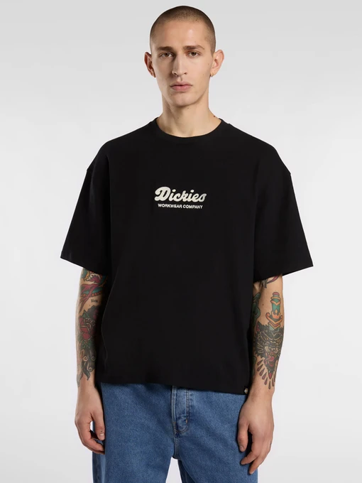 Футболки і поло Dickies Lewistown Embro модель DK0A4Z94BLK1 Фото