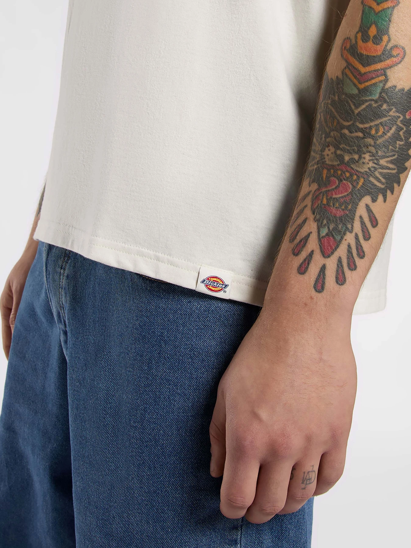 Футболки і поло Dickies Lewistown Embro модель DK0A4Z94C481 Футболки і поло Dickies Lewistown Embro модель DK0A4Z94C481 Фото