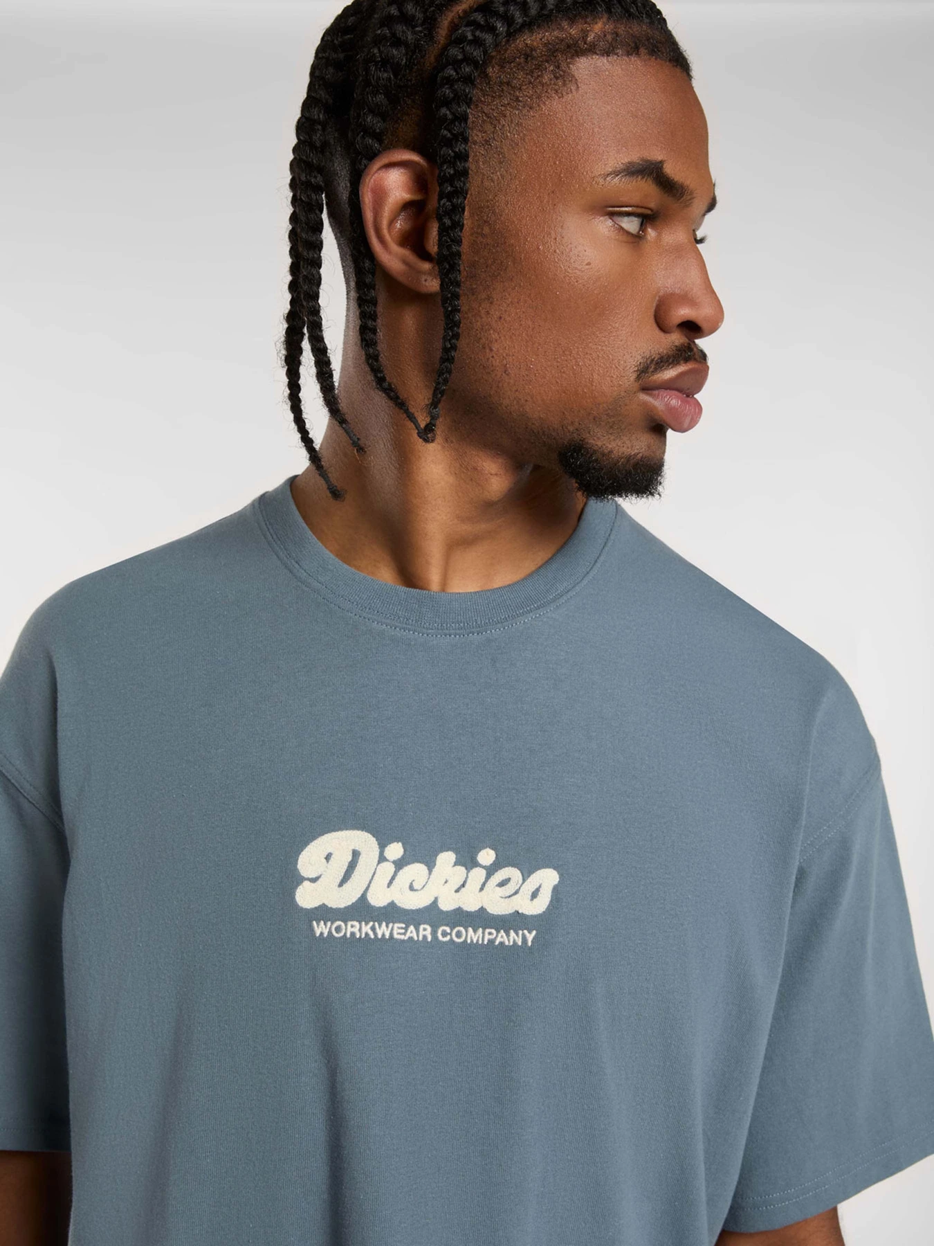 Футболки і поло Dickies Lewistown Embro модель DK0A4Z94G701 Футболки і поло Dickies Lewistown Embro модель DK0A4Z94G701 Фото