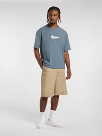 Футболки і поло Dickies Lewistown Embro модель DK0A4Z94G701 Фото