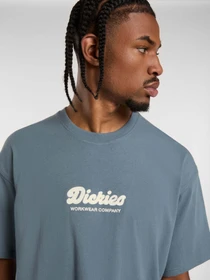 Футболки і поло Dickies Lewistown Embro модель DK0A4Z94G701 Фото