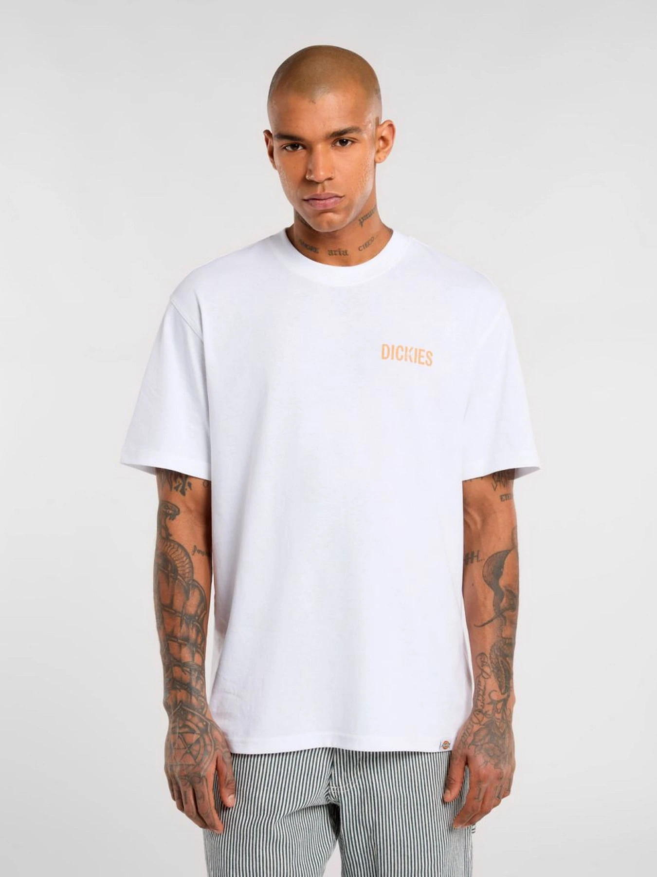 Футболки і поло Dickies Companion модель DK0A4Z980WH1 Фото