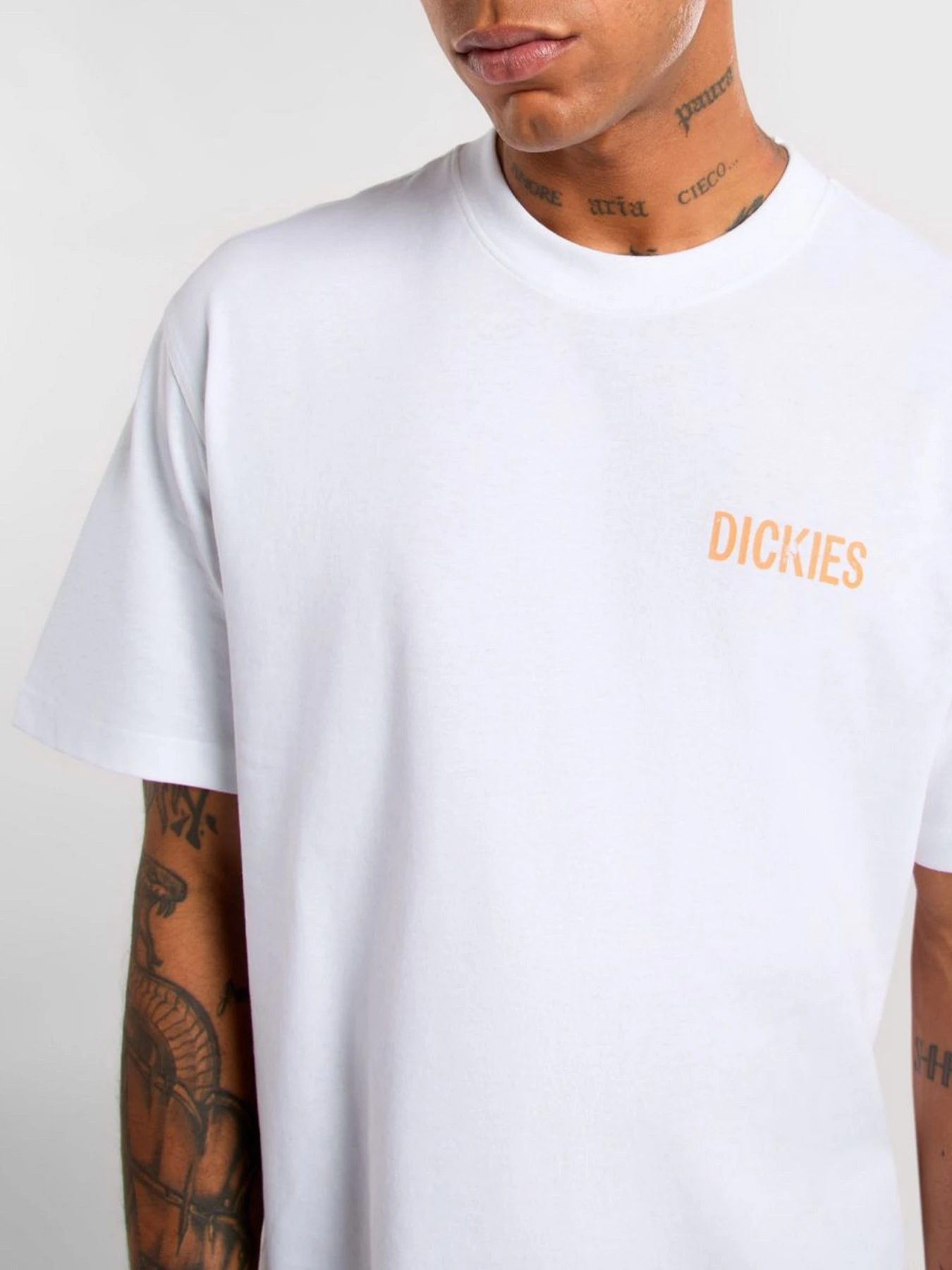 Футболки і поло Dickies Companion модель DK0A4Z980WH1 Фото