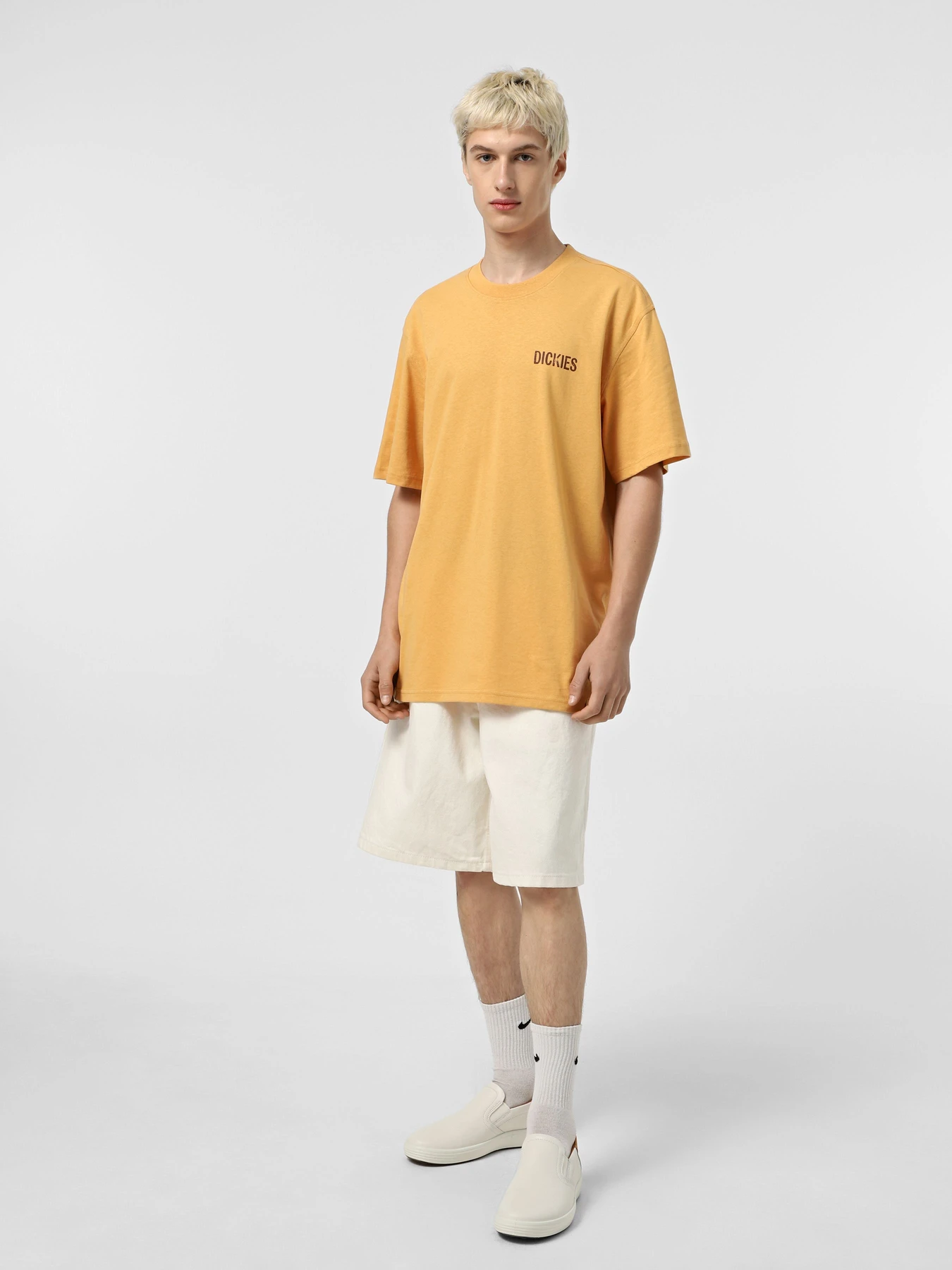 Футболки і поло Dickies Companion модель DK0A4Z98K411 Футболки і поло Dickies Companion модель DK0A4Z98K411 Фото
