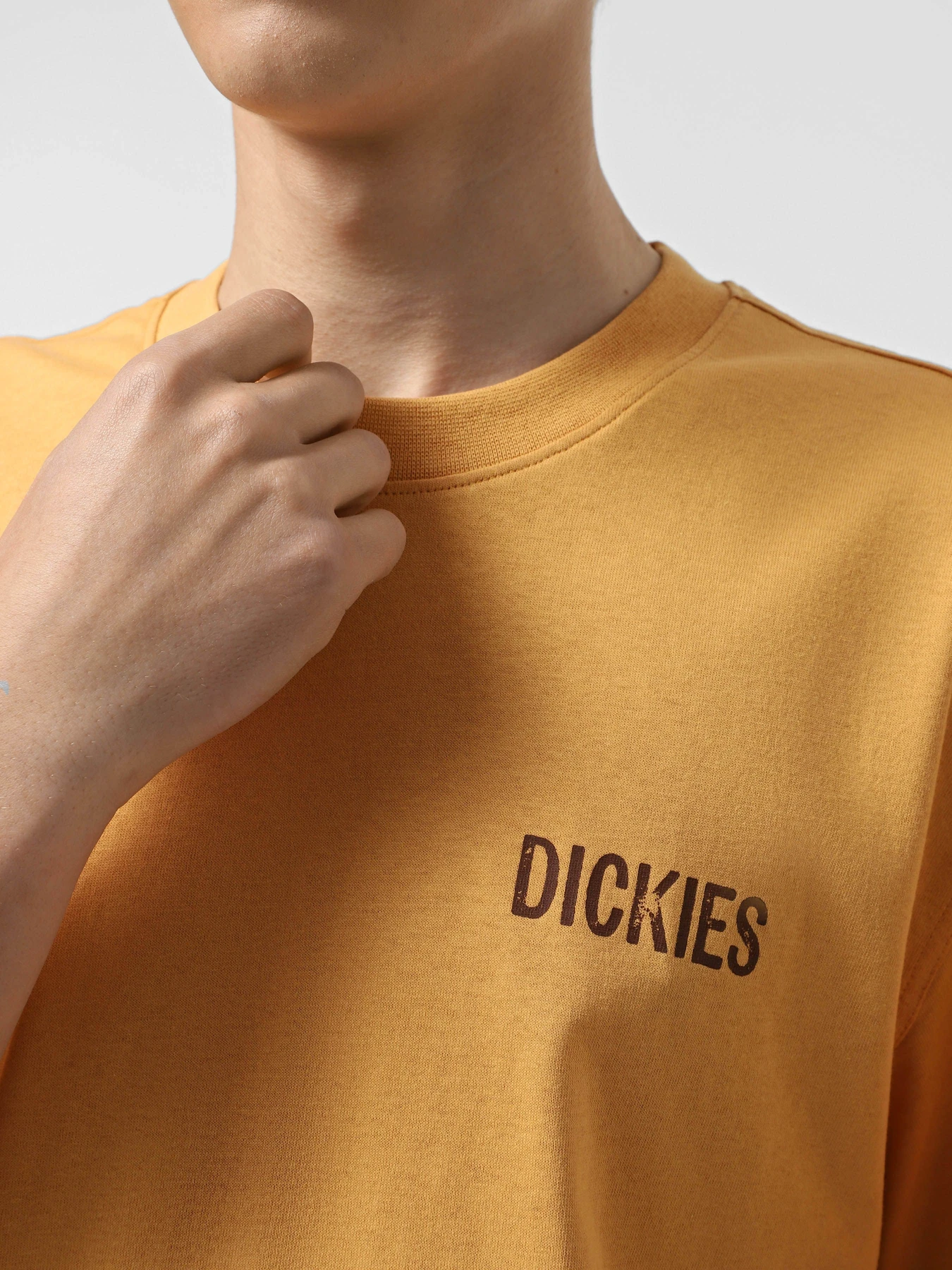 Футболки і поло Dickies Companion модель DK0A4Z98K411 Футболки і поло Dickies Companion модель DK0A4Z98K411 Фото