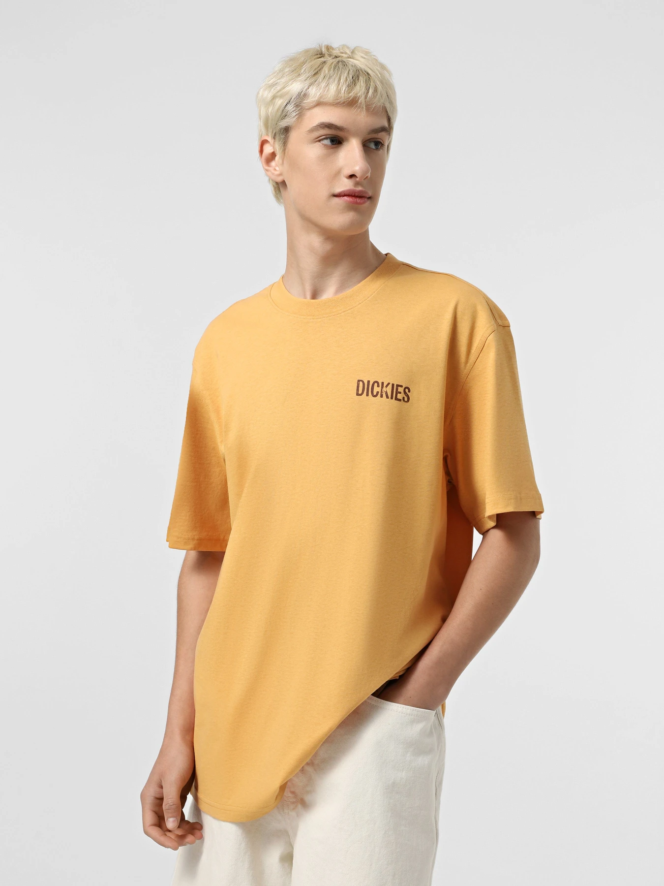 Футболки і поло Dickies Companion модель DK0A4Z98K411 Футболки і поло Dickies Companion модель DK0A4Z98K411 Фото