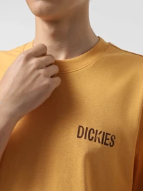 Футболки і поло Dickies Companion модель DK0A4Z98K411 Фото