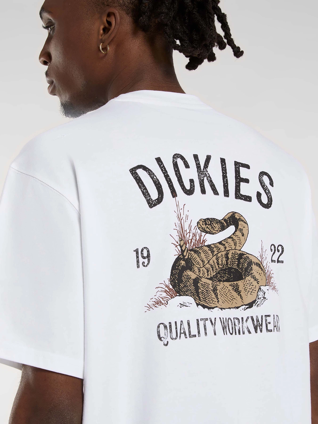 Футболки и поло Dickies Dickies Snake модель DK0A4Z990WH1 Футболки и поло Dickies Dickies Snake модель DK0A4Z990WH1 Фото