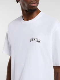 Футболки и поло Dickies Dickies Snake модель DK0A4Z990WH1 Фото