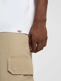 Футболки и поло Dickies Dickies Snake модель DK0A4Z990WH1 Фото
