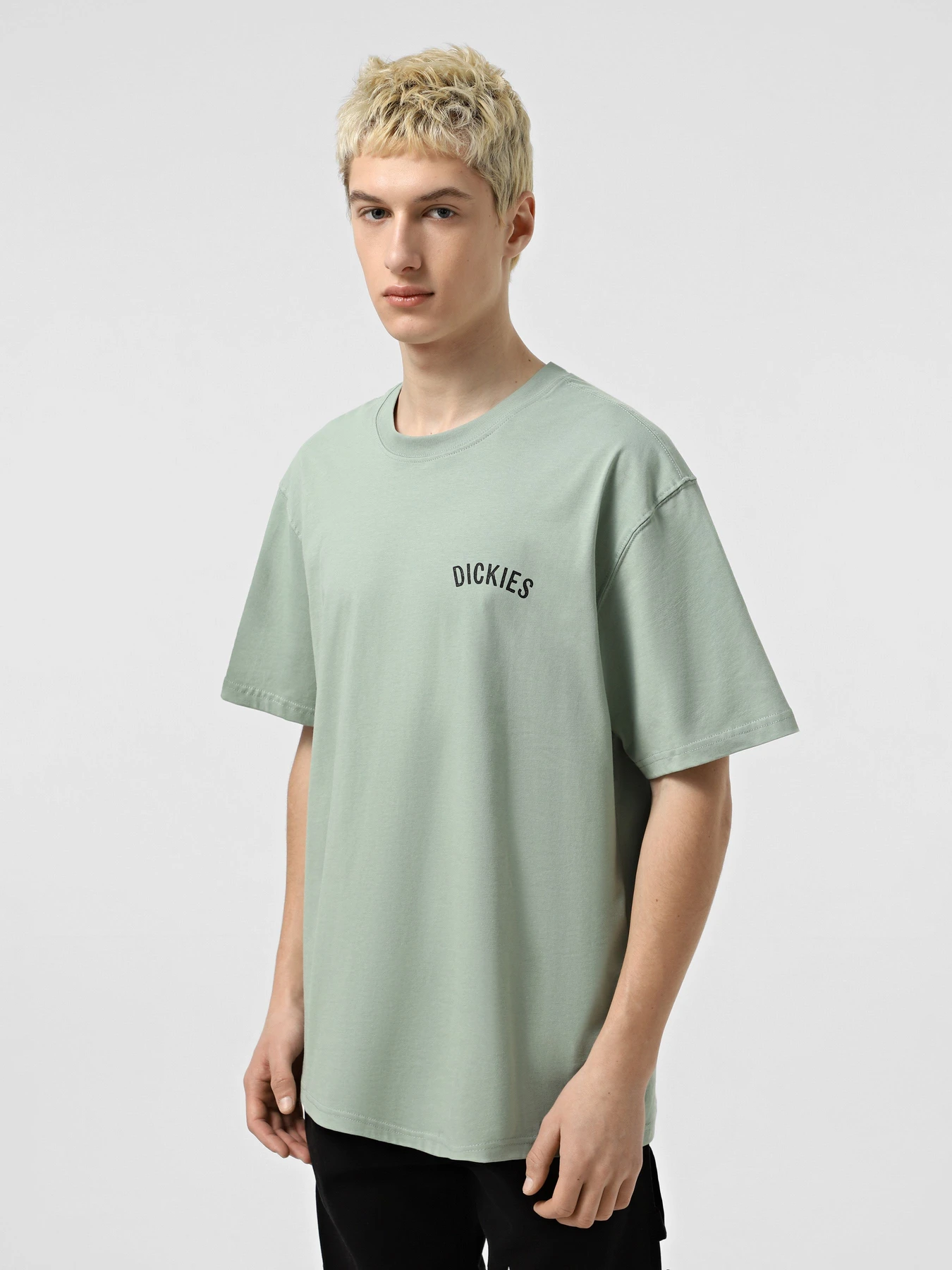 Футболки и поло Dickies Dickies Snake модель DK0A4Z99K361 Футболки и поло Dickies Dickies Snake модель DK0A4Z99K361 Фото